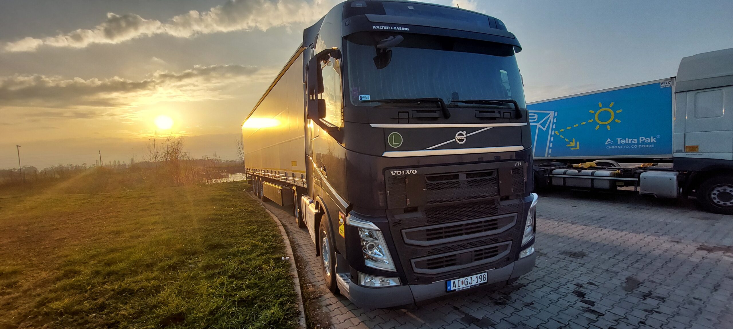 Services 20241126 150041 Scaled